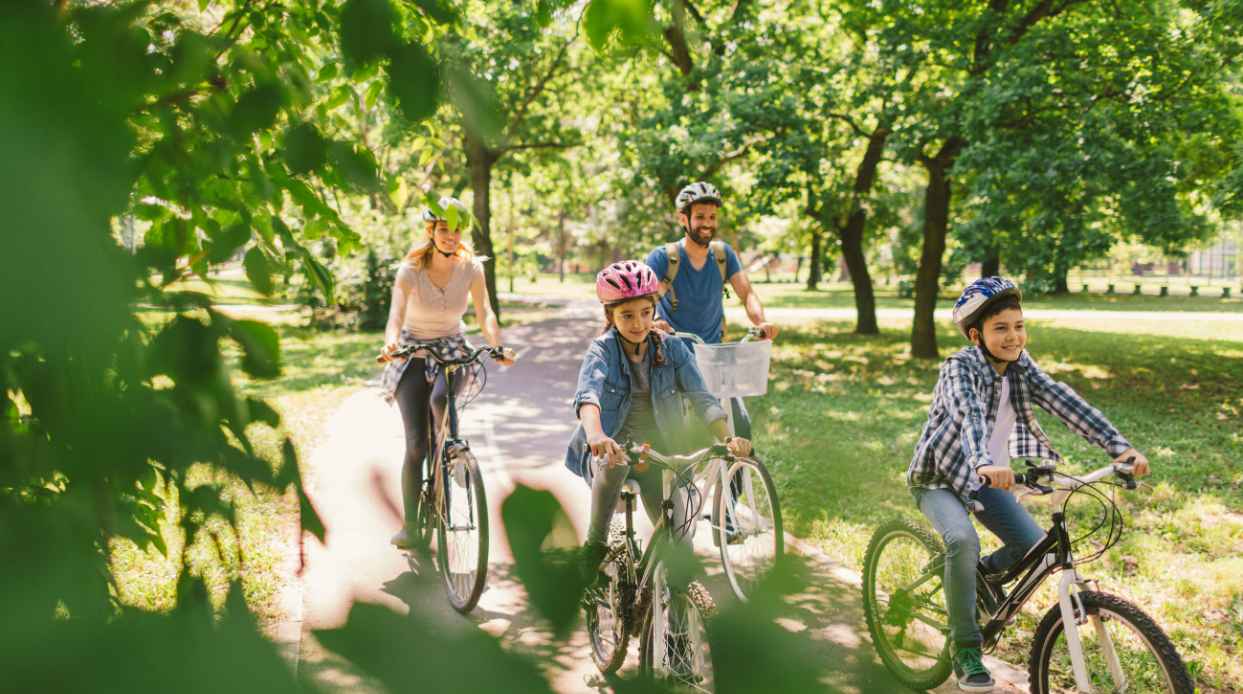 Día mundial de la bicicleta